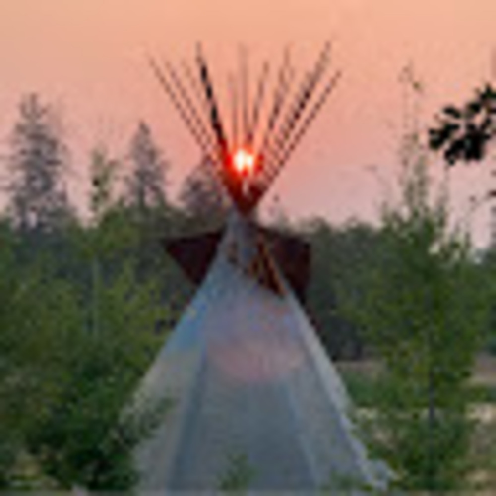 Meet your Posher, Shona